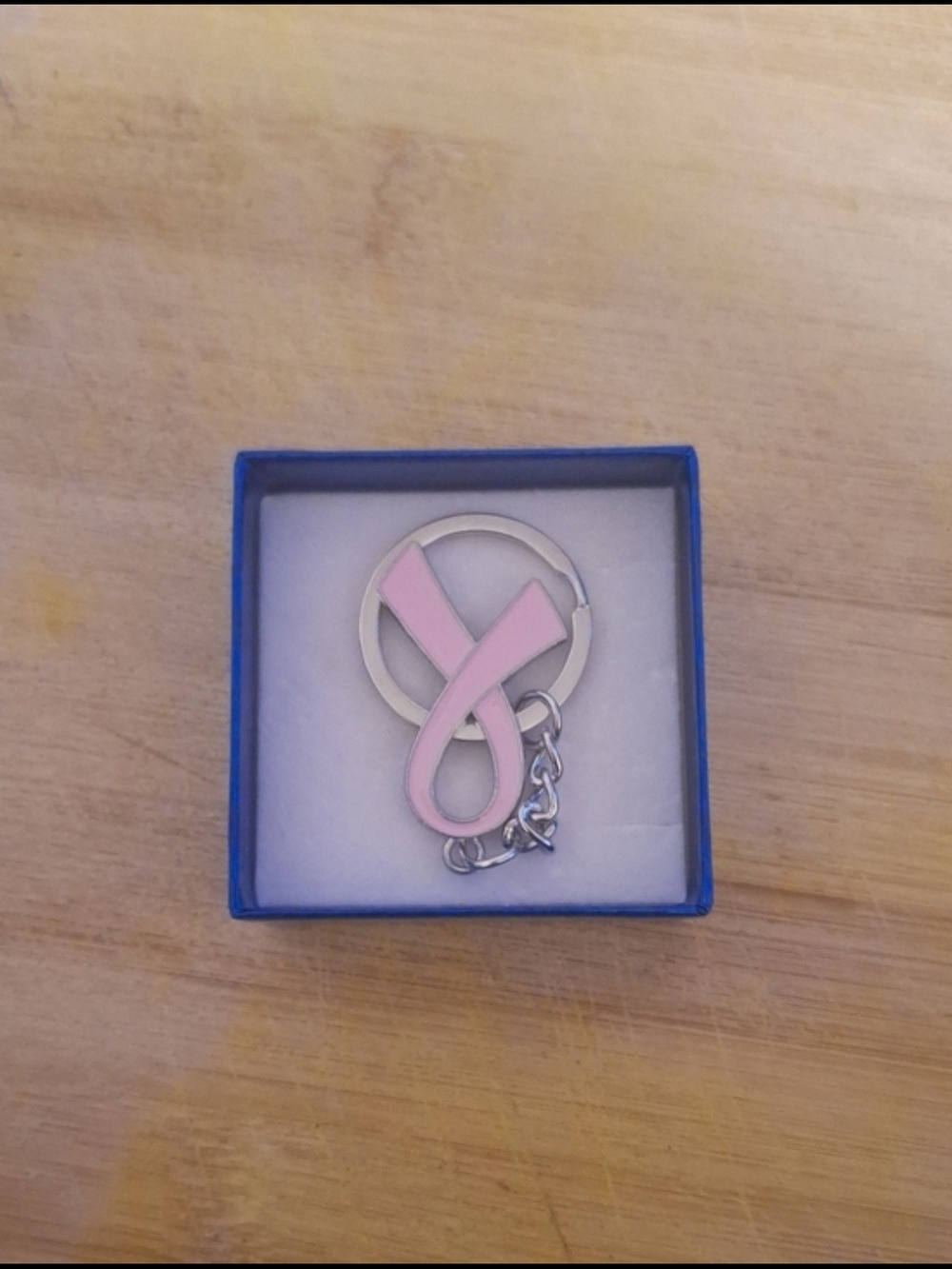 Pink Breast Cancer Awareness Symbol Keychain - Silver Tone